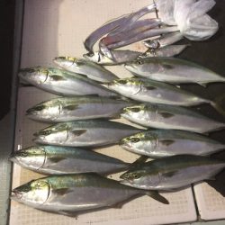 エムズジャーク(M’s JERK) 釣果