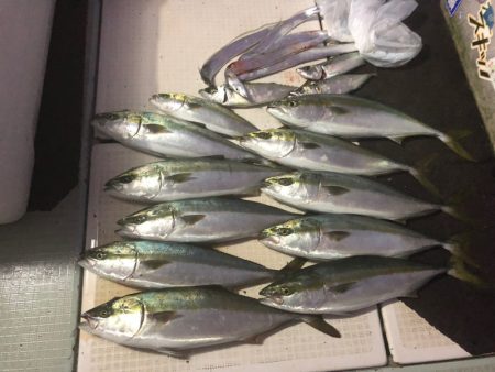 エムズジャーク(M’s JERK) 釣果