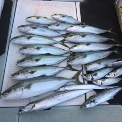 エムズジャーク(M’s JERK) 釣果