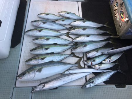 エムズジャーク(M’s JERK) 釣果