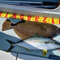 アマテラス 釣果