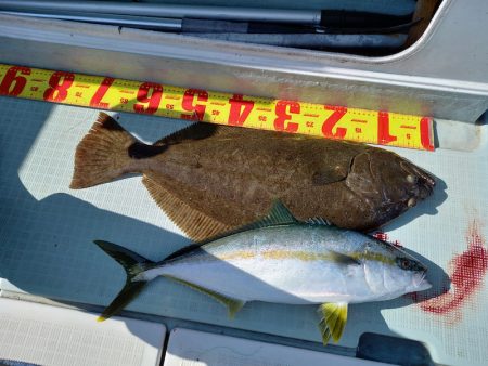 アマテラス 釣果