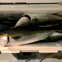 第二八坂丸 釣果