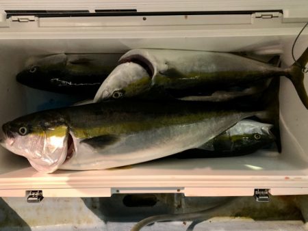 第二八坂丸 釣果