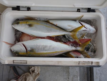 ありもと丸 釣果