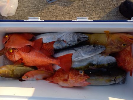 第二龍勢丸 釣果