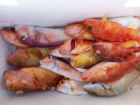 第二龍勢丸 釣果