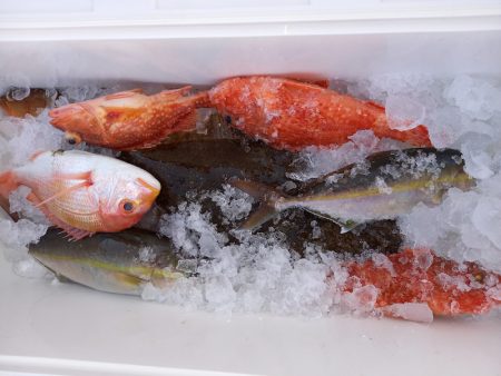 第二龍勢丸 釣果