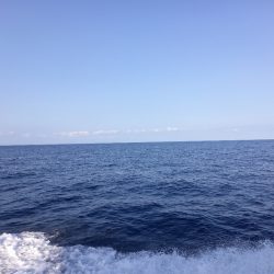 第二龍勢丸 釣果