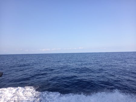 第二龍勢丸 釣果