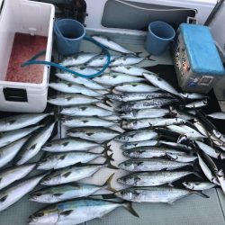 エムズジャーク(M’s JERK) 釣果