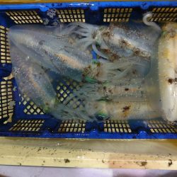 海龍丸（石川） 釣果