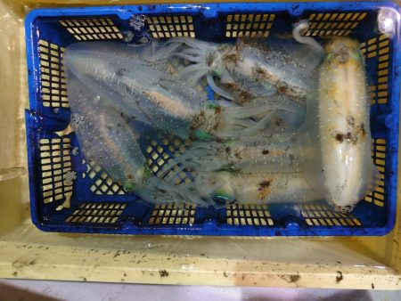 海龍丸（石川） 釣果