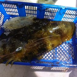 海龍丸（石川） 釣果