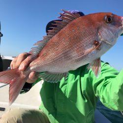 ランスルー 釣果