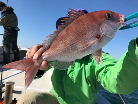 ランスルー 釣果