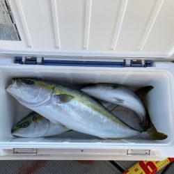 遊漁船高橋 釣果