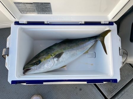 遊漁船高橋 釣果