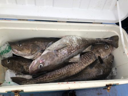 第二　つれたか丸 釣果