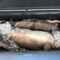 第二　つれたか丸 釣果