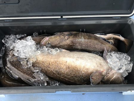 第二　つれたか丸 釣果