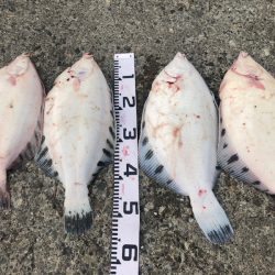 第二　つれたか丸 釣果