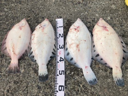 第二　つれたか丸 釣果