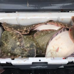 第二　つれたか丸 釣果