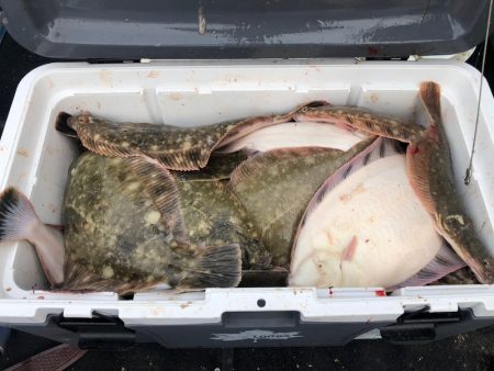 第二　つれたか丸 釣果