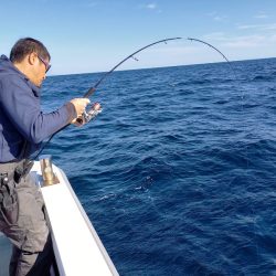 アマテラス 釣果