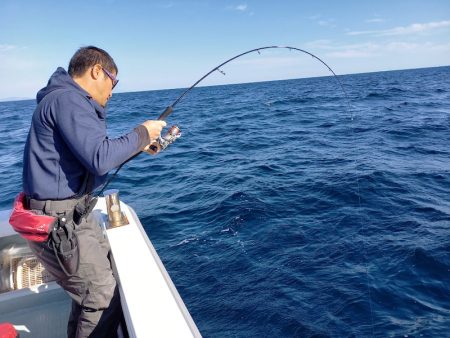 アマテラス 釣果