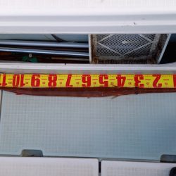 アマテラス 釣果