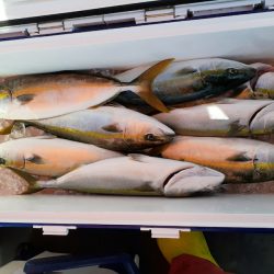 海龍丸（石川） 釣果