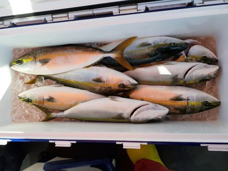 海龍丸（石川） 釣果