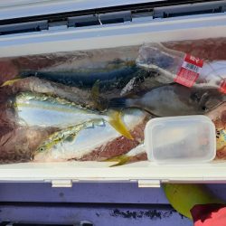 海龍丸（石川） 釣果