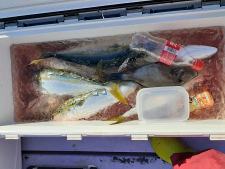 海龍丸（石川） 釣果