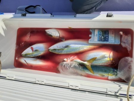 海龍丸（石川） 釣果