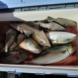 海龍丸（石川） 釣果