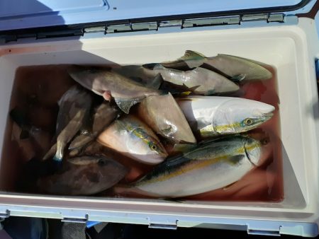 海龍丸（石川） 釣果