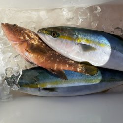 海龍丸（石川） 釣果