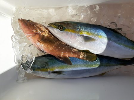 海龍丸（石川） 釣果