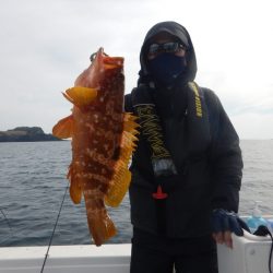 きずなまりん 釣果