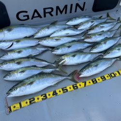 Chase(チェイス) 釣果