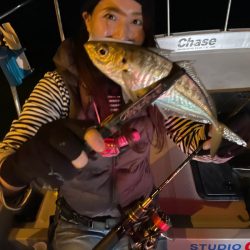 Chase(チェイス) 釣果