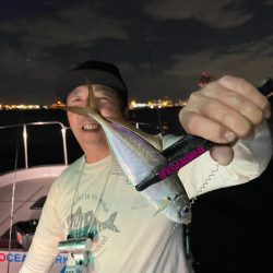 Chase(チェイス) 釣果