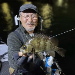 Chase(チェイス) 釣果