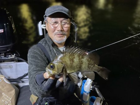 Chase(チェイス) 釣果