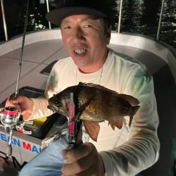 Chase(チェイス) 釣果