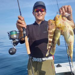 アマテラス 釣果