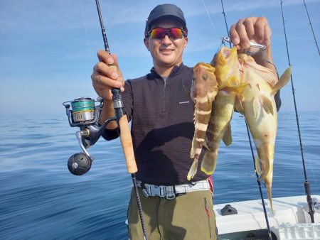 アマテラス 釣果